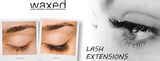  Waxed Bentleigh 332 Centre Rd 