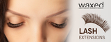  Waxed Bentleigh 332 Centre Rd 