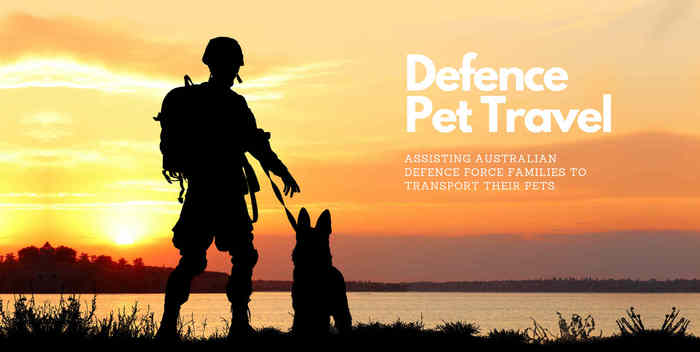  New Album of Pet Express Transport Services (PETS) 7 / 189B South Centre Rd. - Photo 1 of 2