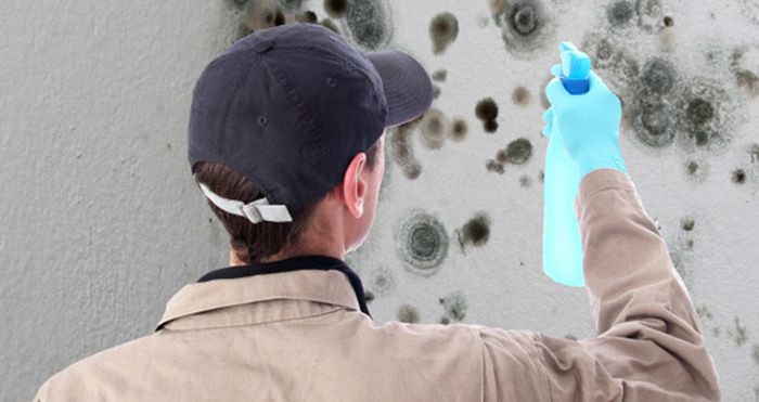  Profile Photos of Residential Mold Remediation Fort Lauderdale FL Fort Lauderdale FL,USA - Photo 1 of 1