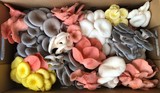 Little Acre Gourmet Mushrooms 278 Montague Road 