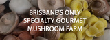  Little Acre Gourmet Mushrooms 278 Montague Road 