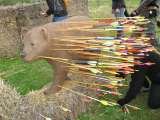  Robin Hood Events Ltd Goose Farm 