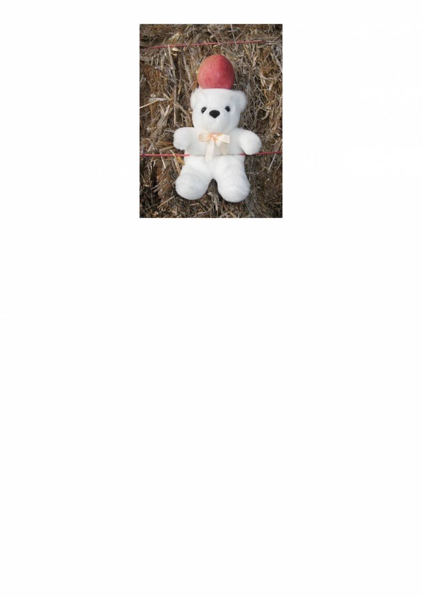  Pricelists of Robin Hood Events Ltd Goose Farm - Photo 2 of 2