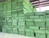 Conway Feed, LLC, Casa Grande