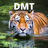 Indiaâ€™s Best Digital Marketing, Website Design & Development Services, delhi