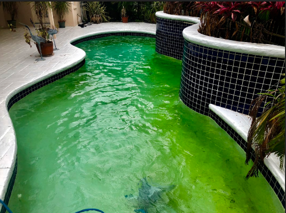  Profile Photos of First Class Pools 547 106th Ave N - Photo 4 of 4