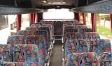 Need A Bus, Basildon