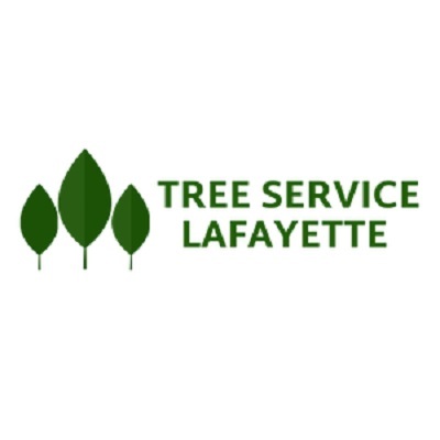  Profile Photos of Lafayette Tree Service Pros 320 S Chestnut St - Photo 1 of 1