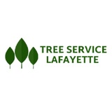Lafayette Tree Service Pros, Lafayette