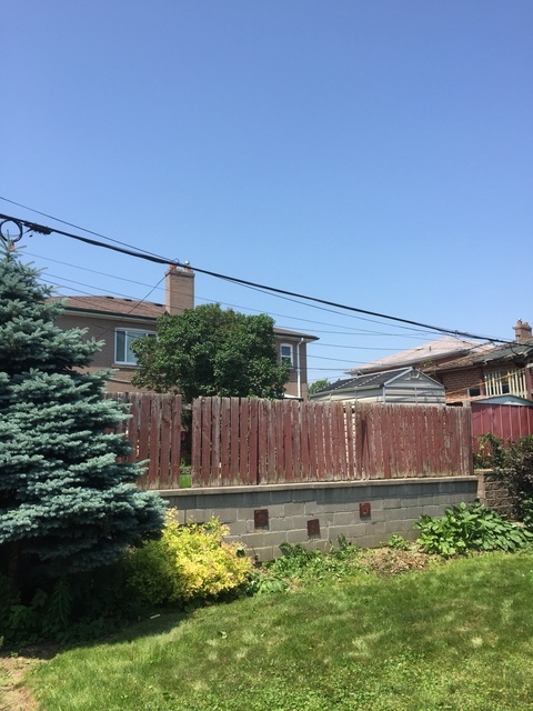  Profile Photos of Upanoak Tree Service Scarborough 51 Bainhart Crescent - Photo 32 of 32