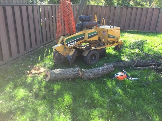  Profile Photos of Upanoak Tree Service Scarborough 51 Bainhart Crescent - Photo 31 of 32