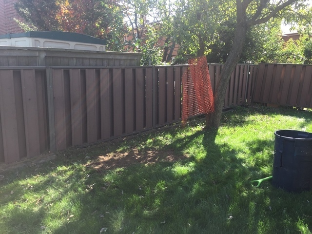  New Album of Upanoak Tree Service Scarborough 51 Bainhart Crescent - Photo 30 of 33