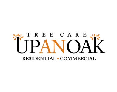  New Album of Upanoak Tree Service Scarborough 51 Bainhart Crescent - Photo 28 of 33