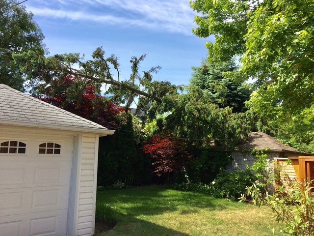  New Album of Upanoak Tree Service Scarborough 51 Bainhart Crescent - Photo 23 of 33