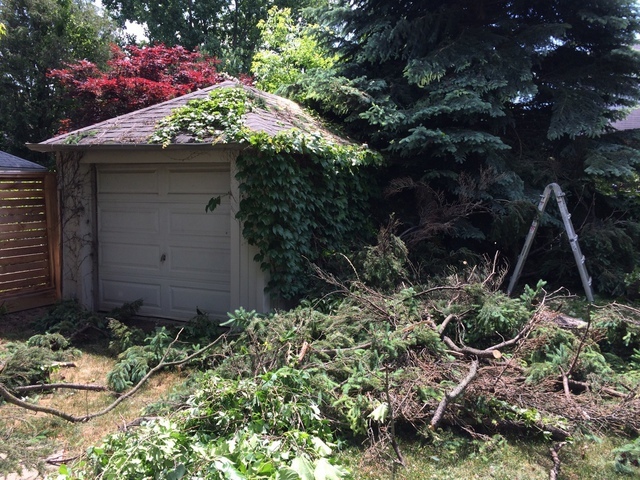  New Album of Upanoak Tree Service Scarborough 51 Bainhart Crescent - Photo 19 of 33