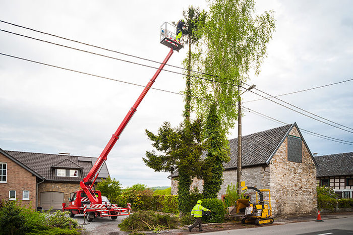  New Album of Van City Tree Removal 907-550 Pacific St - Photo 3 of 4