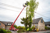 Van City Tree Removal, Vancovuer
