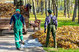 EP Tree Removal Erie PA, Erie
