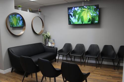  Profile Photos of Apollo Cannabis Clinic 1255 Bay Street, Unit 702 - Photo 2 of 4