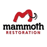 Mammoth Restoration of Arizona, Flagstaff