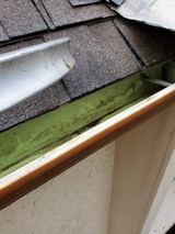 Gutter Cleaning in Cincy , Clean Pro Gutter Cleaning Cincinnati, Cincinnati