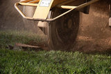 Kansas City Tree Service Pros 1317 Lydia Ave 