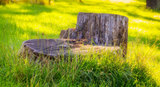  Kansas City Tree Service Pros 1317 Lydia Ave 