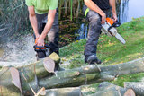 Kansas City Tree Service Pros, Kansas city