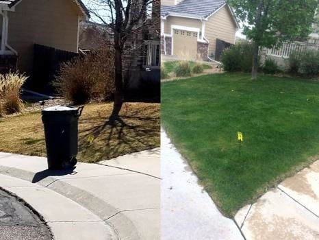  Profile Photos of ExperiGreen Lawn Care 12887 Fairlane - Photo 3 of 4
