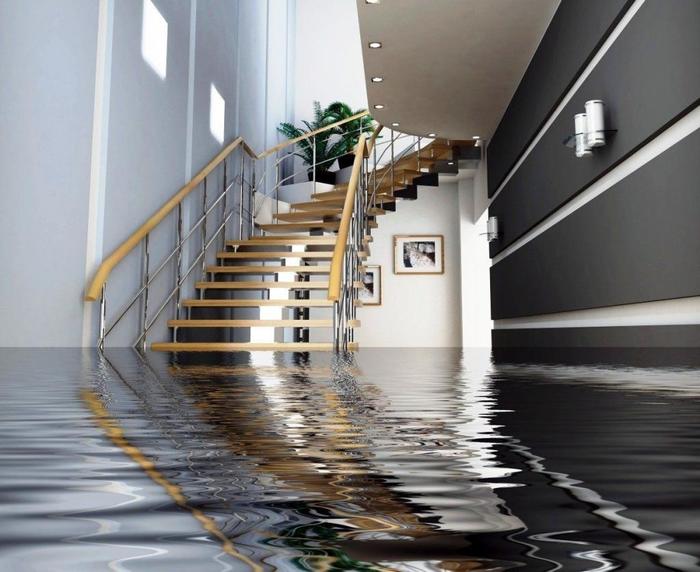  New Album of Rapid Water Damage Restoration Dallas 1317 S Lamar St - Photo 4 of 5