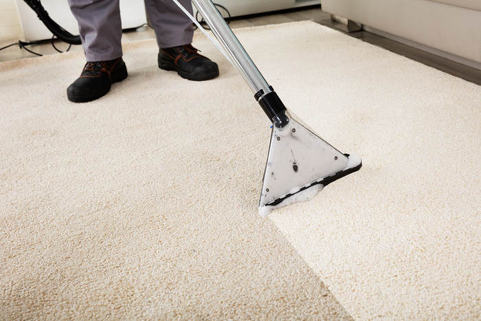  New Album of Carpet Cleaners of South Hill 13516 Meridian E Unit 731331 D - Photo 2 of 7