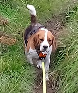 Treks Trails and Adventures, Carnforth
