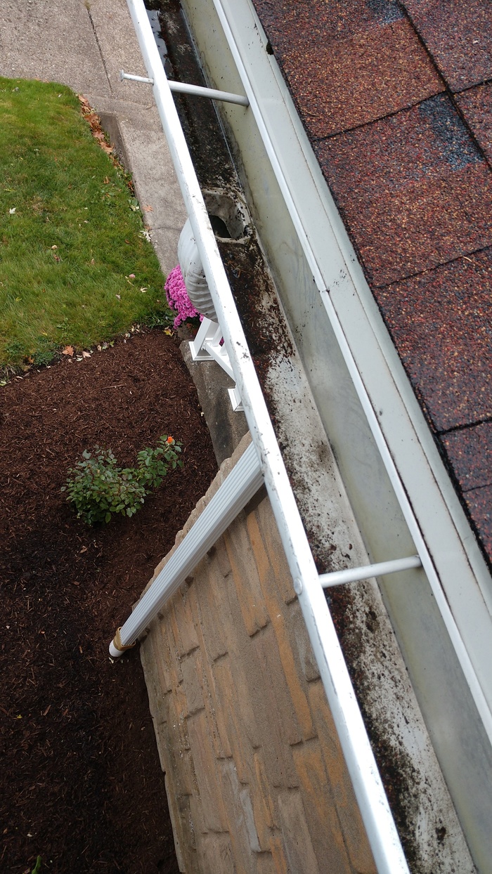 Gutter Cleaning in Pittsburgh New Album of Clean Pro Gutter Cleaning Pittsburgh 818 5th Ave - Photo 2 of 5