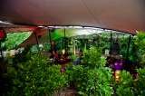 Arabian Tent Company, Firle, Nr Lewes