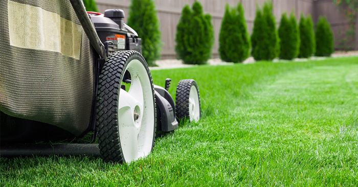  New Album of Lagrangeville Lawn Care Pros 7 S Cross Rd - Photo 7 of 8
