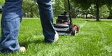  Lagrangeville Lawn Care Pros 7 S Cross Rd 