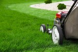  Lagrangeville Lawn Care Pros 7 S Cross Rd 