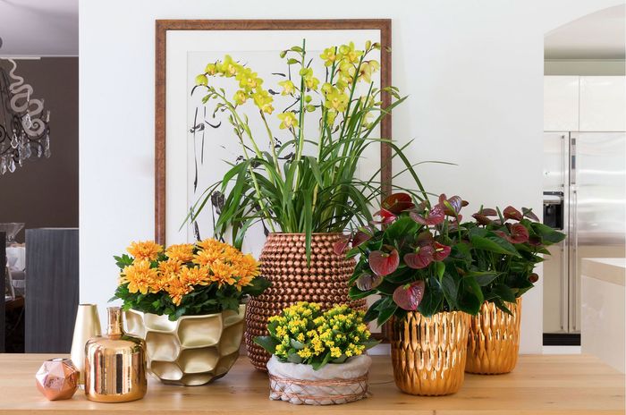  Profile Photos of Sahola Flower Fashion Boutique 310 Springfield Ave - Photo 7 of 7