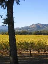 Shady Oaks Country Inn - Napa Valley Bed and breakfast, St. Helena