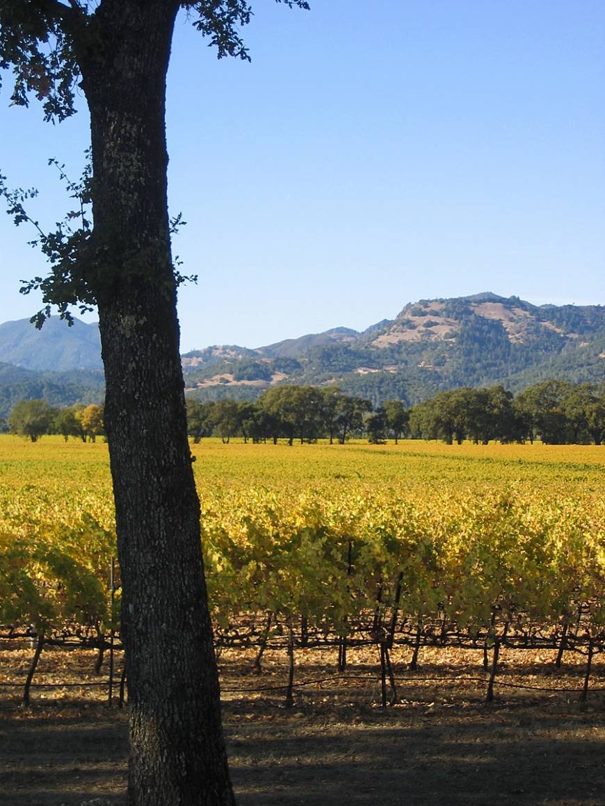  Pricelists of Shady Oaks Country Inn - Napa Valley Bed and breakfast 399 Zinfandel Lane - Photo 1 of 1