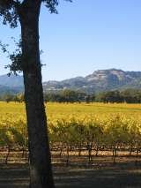 Menus & Prices, Shady Oaks Country Inn - Napa Valley Bed and breakfast, St. Helena