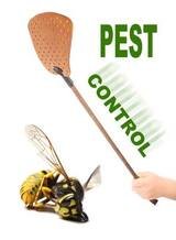 Best Miami Pest Control Service, Miami