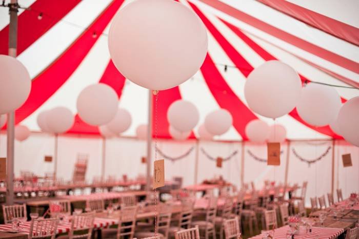 wedding tent hire devon marquee hire of Bigtopmania Swallowcroft, Chapmans well - Photo 57 of 57