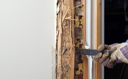 Profile Photos of Affordable Termite Control - Riverside 29301 Big Range Road - Photo 4 of 7