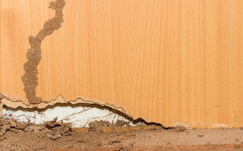  Profile Photos of Affordable Termite Control - Riverside 29301 Big Range Road - Photo 5 of 7