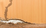 Affordable Termite Control - Riverside, Canyon Lake