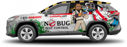  Profile Photos of No Bug Pest Control 35 Fencsak Avenue - Photo 4 of 4