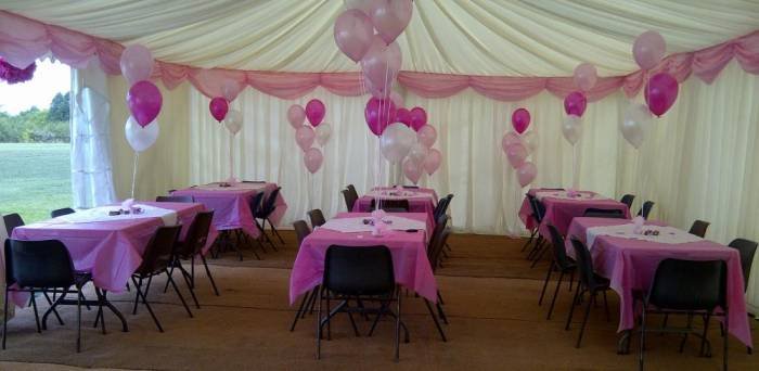  Profile Photos of Venue Decorations 4U 95 Poplar Grove - Photo 14 of 18