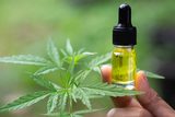  HerbaHeal CBD 15275 Collier Blvd #220 
